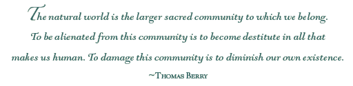 Thomas Berry Quotation