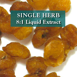 Longan fruit - Long Yan Rou