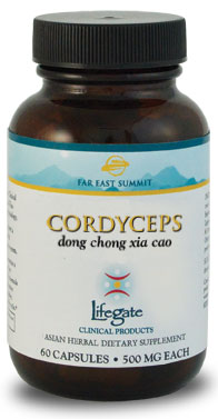Cordyceps (LG)