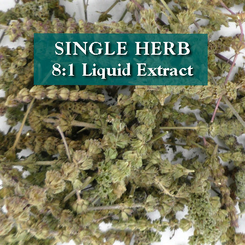 Schizonepeta tenuifolia herb - Jing Jie
