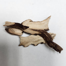 Sweetflag rhizome - Shi Chang Pu