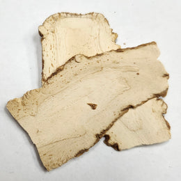 Angelica dahurica root - Bai Zhi