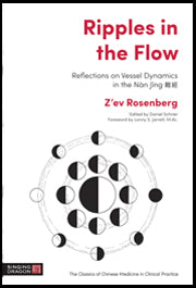 RIPPLES in the FLOW: Reflections on Vessel Dynamics in the Nan Jing