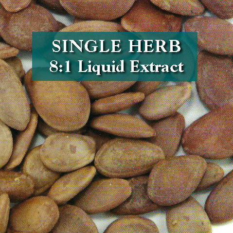 Trichosanthes seed - Gua Lou Ren
