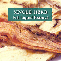 Angelica sinensis root - Dang Gui