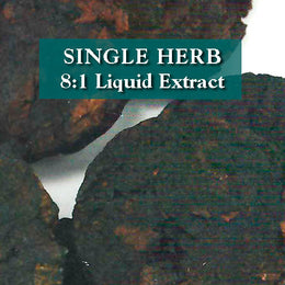 Rehmannia root, raw - Sheng Di Huang