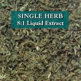 Artemisia capillaris herb - Yin Chen Hao