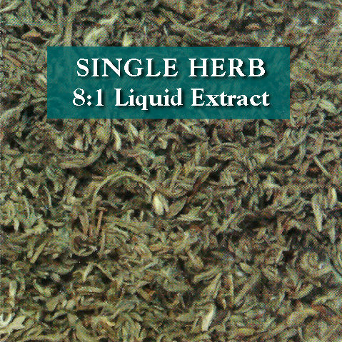 Artemisia capillaris herb - Yin Chen Hao