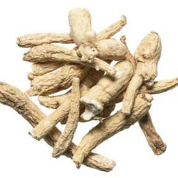 Ginseng root, White Chinese - Bai Ren Shen