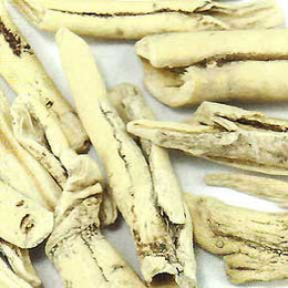 Dictamus root bark - Bai Xian Pi