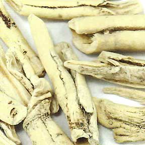 Dictamus root bark - Bai Xian Pi