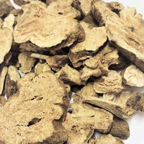 Atractylodes macrocephala rhizome (white) - Bai Zhu