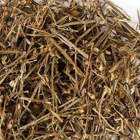 Scutellaria barbata herb - Ban Zhi Lian