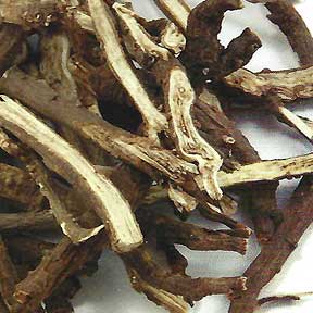 Bupleurum root - Chai Hu