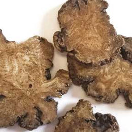 Ligusticum wallichi rhizome - Chuan Xiong