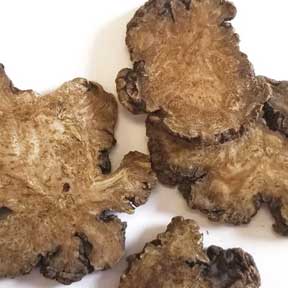 Ligusticum wallichi rhizome - Chuan Xiong