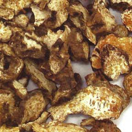 Atractylodes lancea rhizome (red) - Cang Zhu