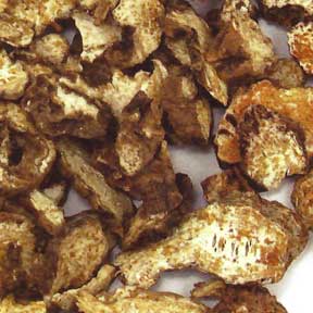 Atractylodes lancea rhizome (red) - Cang Zhu