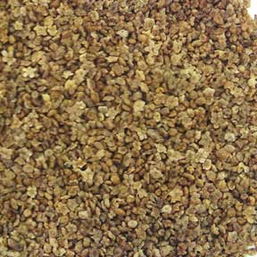 Kochia fruit - Di Fu Zi