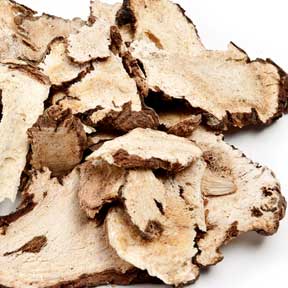 Angelica sinensis root - Dang Gui