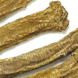 Codonopsis root - Dang Shen