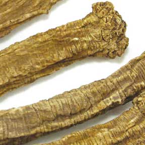 Codonopsis root - Dang Shen