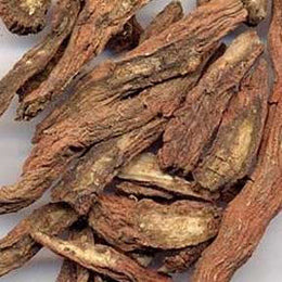 Salvia miltiorrhiza root - Dan Shen