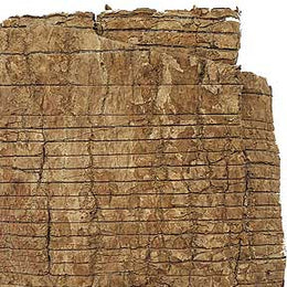 Eucommia bark - Du Zhong