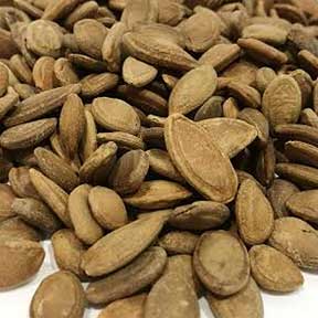 Trichosanthes seed - Gua Lou Ren