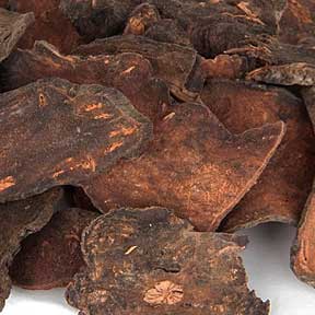 Polygonum multiflorum root (Fo-Ti) - He Shou Wu
