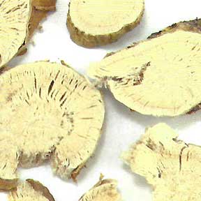 Sophora flavescens root - Ku Shen