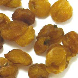 Longan fruit - Long Yan Rou