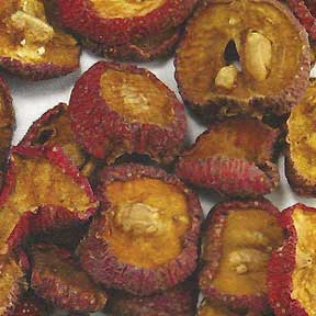 Crataegus Hawthorn fruit - Shan Zha