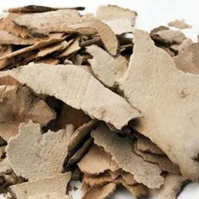 Glabrous Greenbrier rhizome - Tu Fu Ling