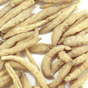 Pseudostellaria root - Tai Zi Shen
