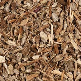 Echinacea angustifolia root