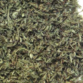 Artemisia capillaris herb - Yin Chen Hao