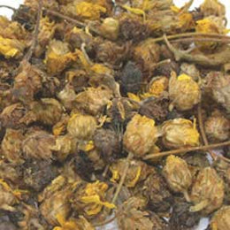 Chrysanthemum flower - Ju Hua