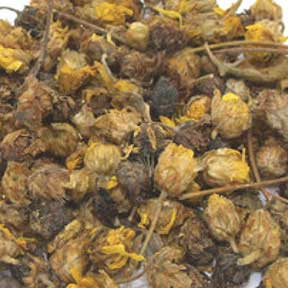 Chrysanthemum flower - Ju Hua