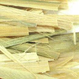 Bamboo shavings - Zhu Ru