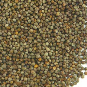 Perilla fruit (seed) - Zi Su Zi