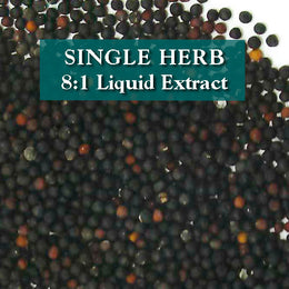 Vaccaria seed - Wang Bu Liu Xing