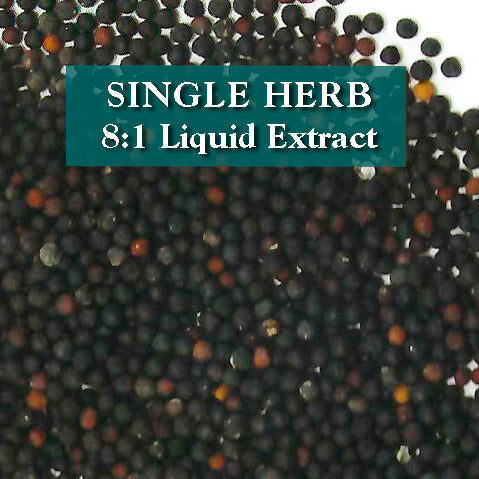 Vaccaria seed - Wang Bu Liu Xing