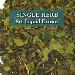 Mulberry leaf - Sang Ye