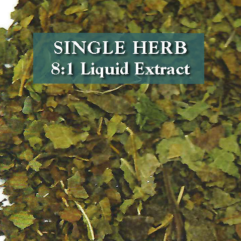 Mulberry leaf - Sang Ye