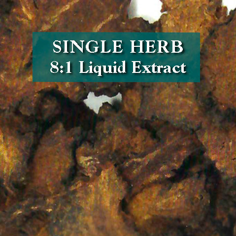 Ligusticum wallichi rhizome - Chuan Xiong