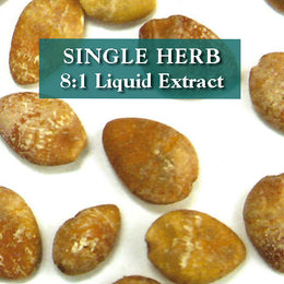 Ginkgo Nut - Bai Guo