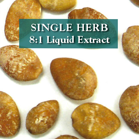 Ginkgo Nut - Bai Guo