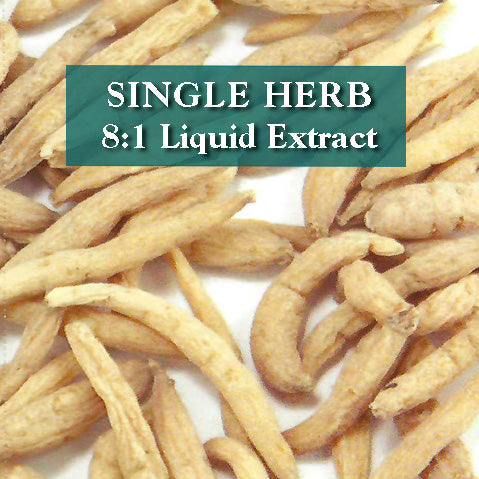 Pseudostellaria root - Tai Zi Shen