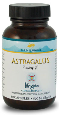 Astragalus (LG)
